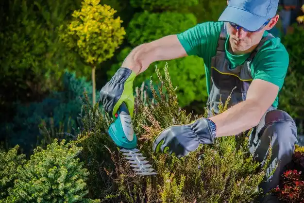 landscaping services Thaxton